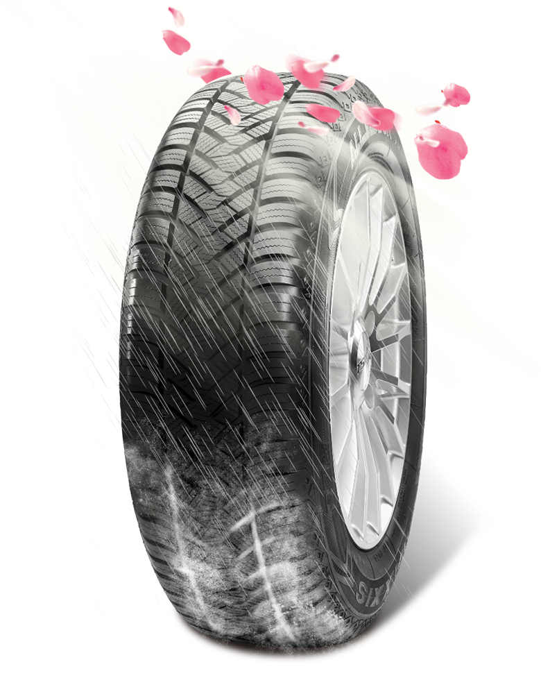 オールシーズンタイヤ Maxxis Ap2 オートバックス 公式通販サイト